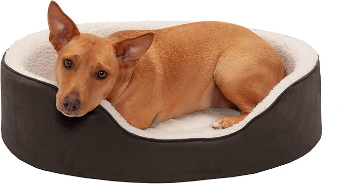 furhaven 宠物狗床 — *椭圆形躺椅宠物床,适合狗狗和猫尺寸 sherpa